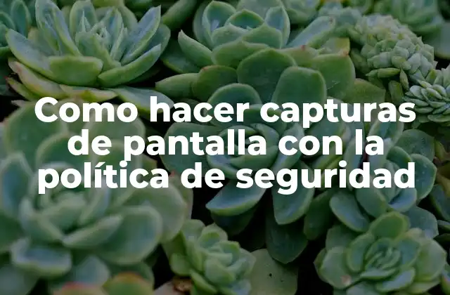 Como Hacer Capturas de Pantalla con la Política de Seguridad