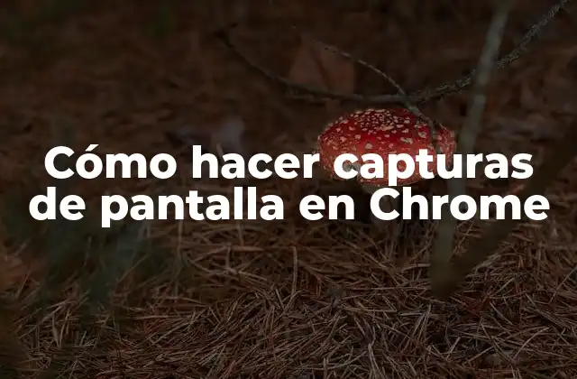 Cómo Hacer Capturas de Pantalla en Chrome