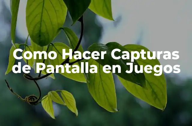 Como Hacer Capturas de Pantalla en Juegos