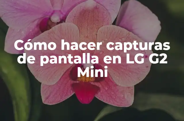 Cómo Hacer Capturas de Pantalla en Lg G2 Mini