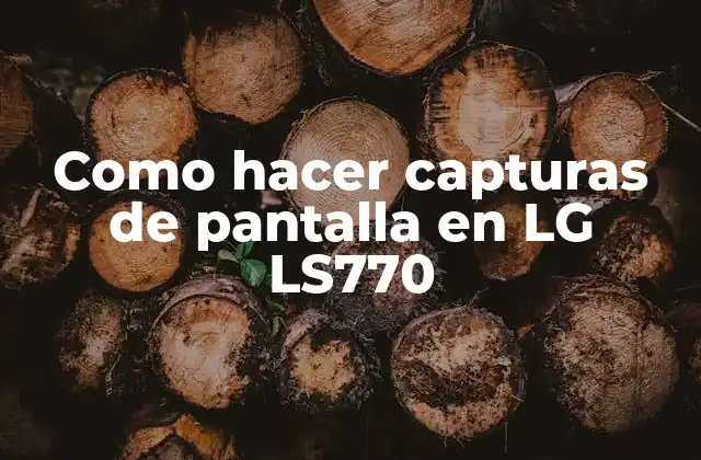 Capturas de pantalla en LG LS770: ¿Qué son y para qué sirven?