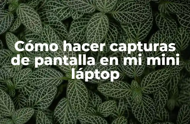 Cómo Hacer Capturas de Pantalla en Mi Mini Láptop