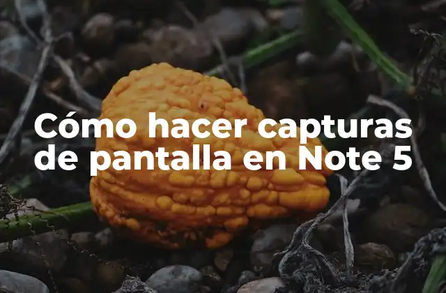 Cómo Hacer Capturas de Pantalla en Note 5