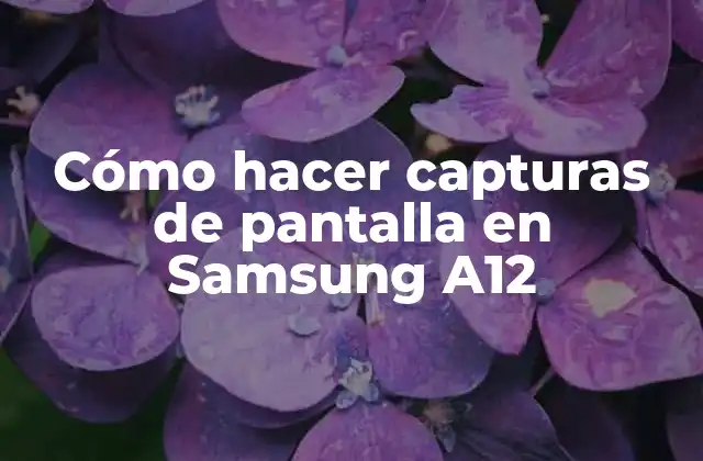 Cómo Hacer Capturas de Pantalla en Samsung A12 2 Cómo hacer capturas de pantalla en Samsung A12