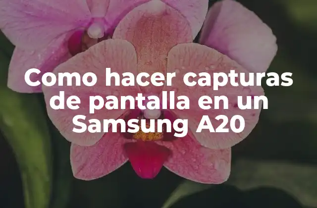 Como Hacer Capturas de Pantalla en un Samsung A20