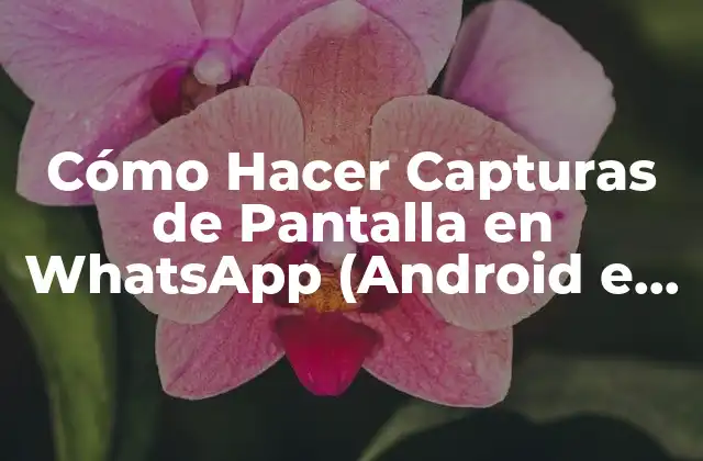 Cómo Hacer Capturas de Pantalla en Whatsapp (android e Ios)