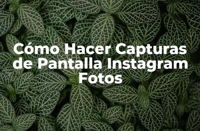 Cómo Hacer Capturas de Pantalla Instagram Fotos