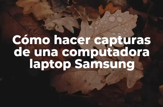 Cómo Hacer Capturas de una Computadora Laptop Samsung
