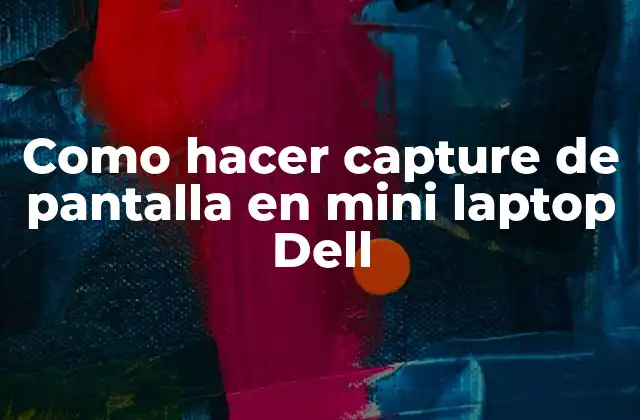 Como Hacer Capture de Pantalla en Mini Laptop Dell