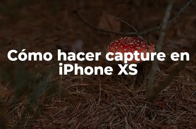 Cómo Hacer Capture en Iphone Xs