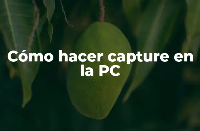 Cómo Hacer Capture en la Pc