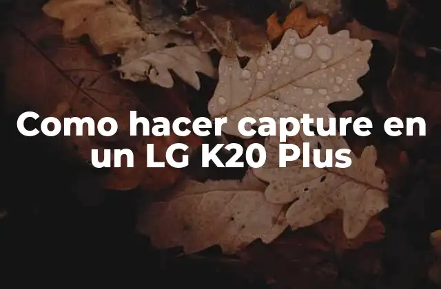 Como Hacer Capture en un Lg K20 Plus