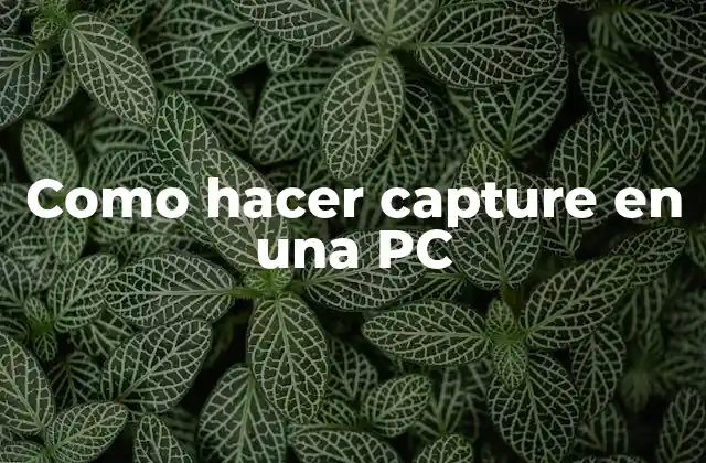 Como Hacer Capture en una Pc