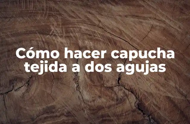 Cómo Hacer Capucha Tejida a Dos Agujas