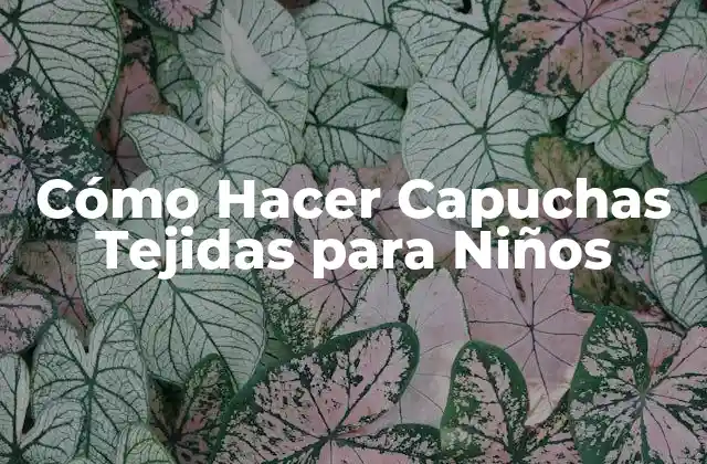 Cómo Hacer Capuchas Tejidas para Niños