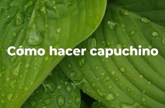 Cómo Hacer Capuchino