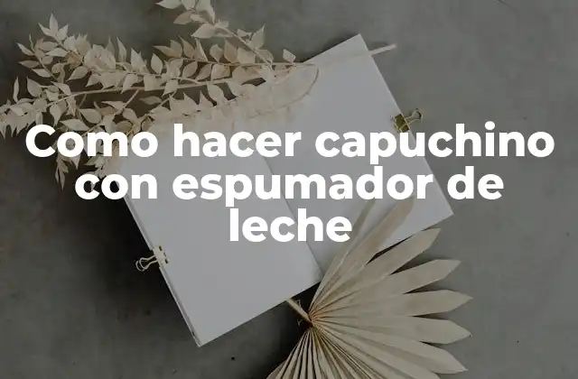 Como Hacer Capuchino con Espumador de Leche