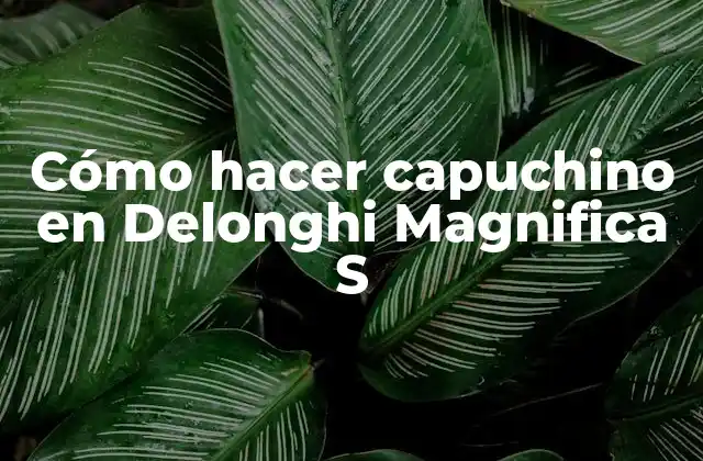 Cómo Hacer Capuchino en Delonghi Magnifica S
