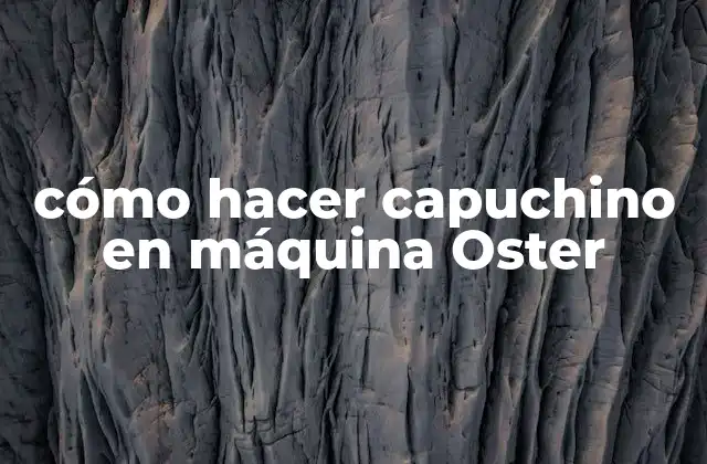 Cómo Hacer Capuchino en Máquina Oster
