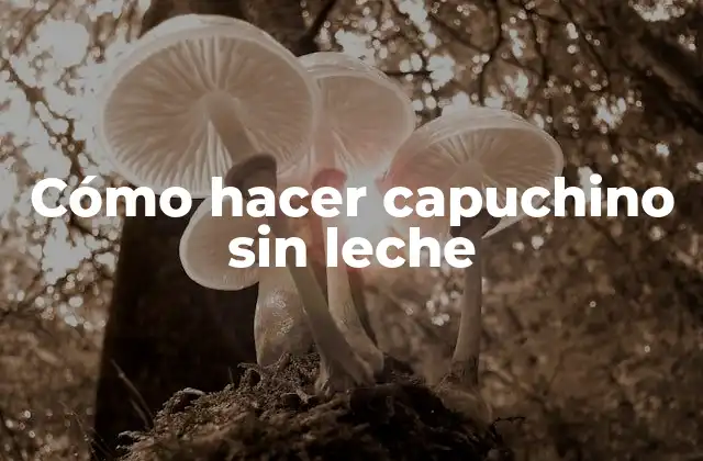 Cómo Hacer Capuchino sin Leche