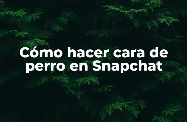 Cómo Hacer Cara de Perro en Snapchat 2 Cómo hacer cara de perro en Snapchat
