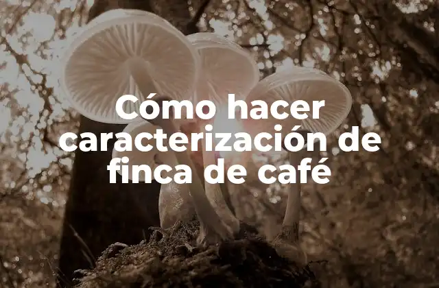 Cómo Hacer Caracterización de Finca de Café
