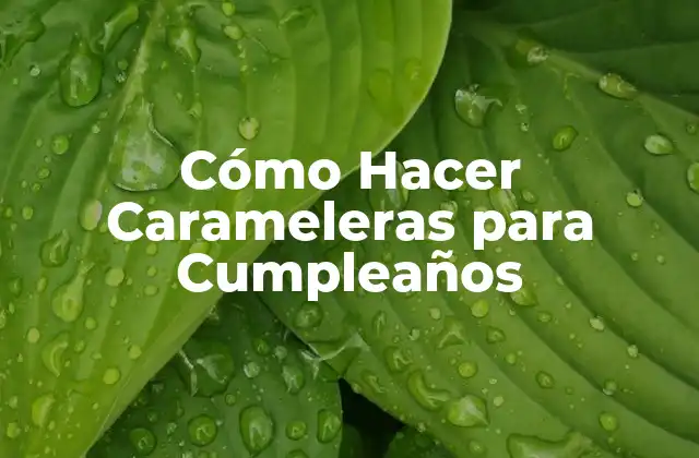 Cómo Hacer Carameleras para Cumpleaños