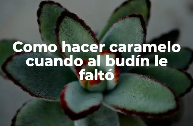 Como Hacer Caramelo Cuando Al Budín Le Faltó