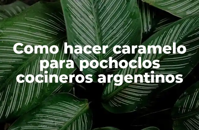 Como Hacer Caramelo para Pochoclos Cocineros Argentinos