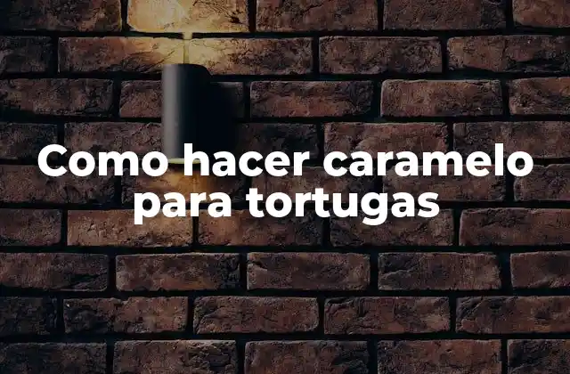 Como Hacer Caramelo para Tortugas