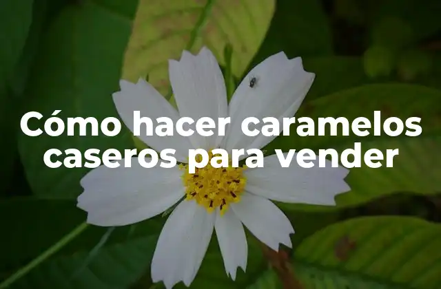Cómo Hacer Caramelos Caseros para Vender