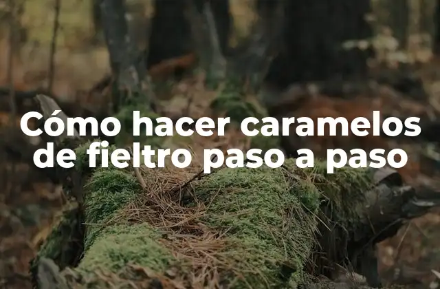 Cómo hacer caramelos de fieltro