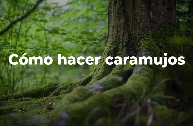 Cómo Hacer Caramujos