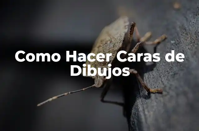 Como Hacer Caras de Dibujos 2 ¿Qué son las Caras de Dibujos?