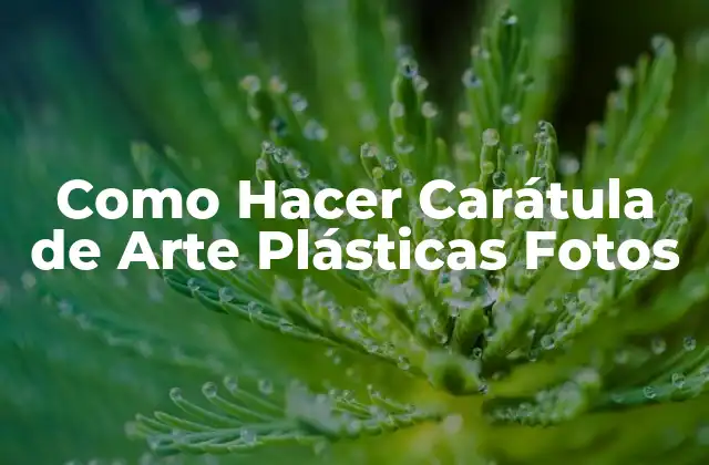 Como Hacer Carátula de Arte Plásticas Fotos