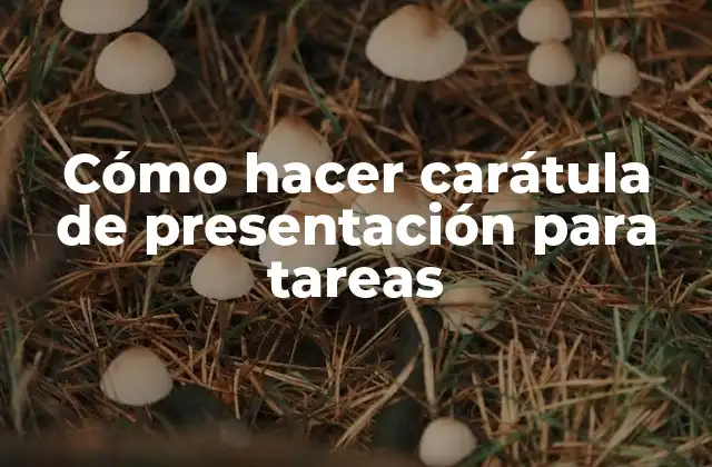 Cómo Hacer Carátula de Presentación para Tareas