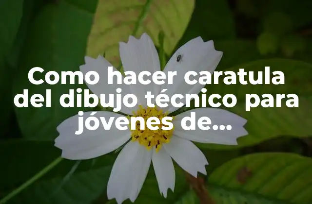 Como Hacer Caratula Del Dibujo Técnico para Jóvenes de Prepromoción