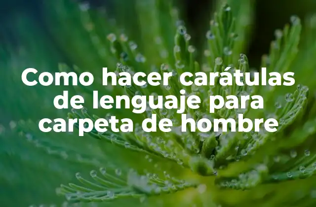 Como Hacer Carátulas de Lenguaje para Carpeta de Hombre