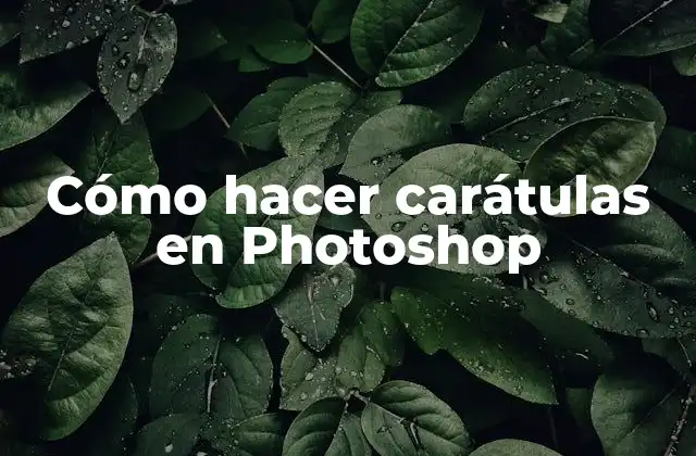 Cómo Hacer Carátulas en Photoshop