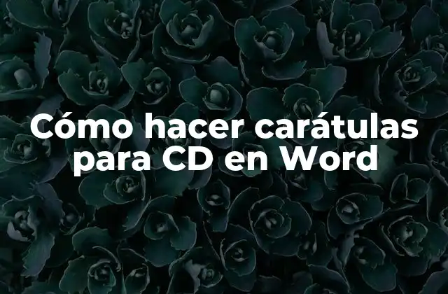 Cómo Hacer Carátulas para Cd en Word