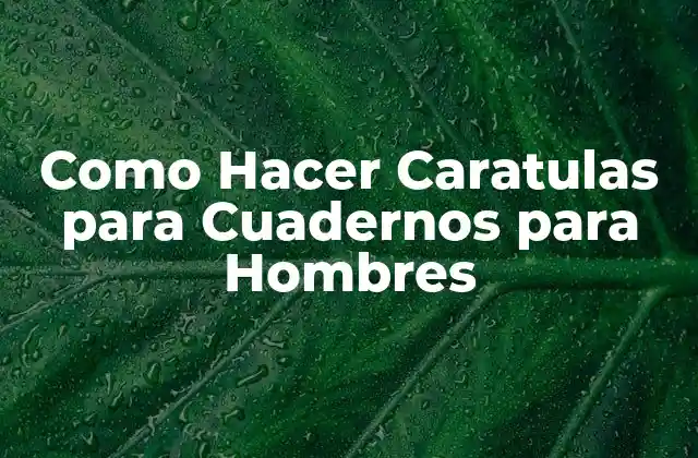 Como Hacer Caratulas para Cuadernos para Hombres