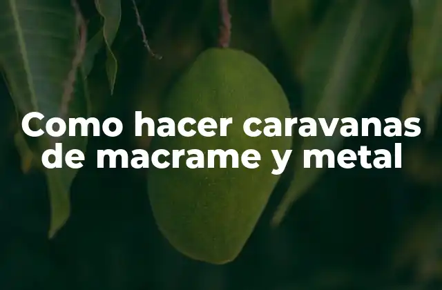 Como Hacer Caravanas de Macrame y Metal