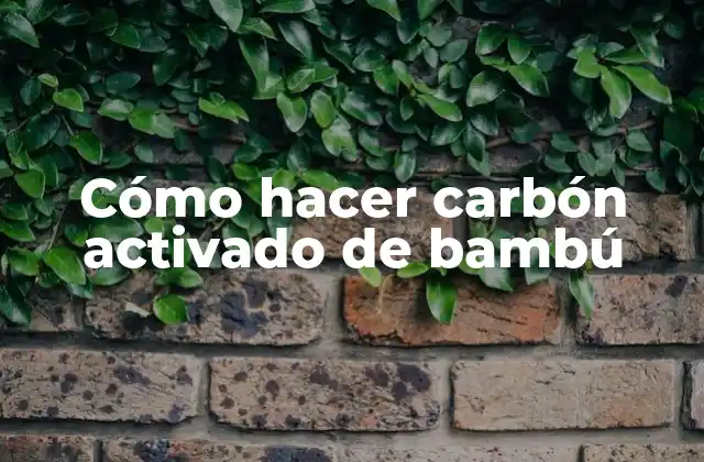 Cómo Hacer Carbón Activado de Bambú