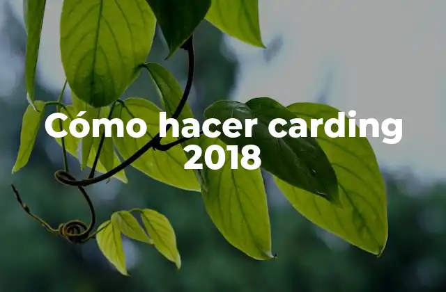 Cómo Hacer Carding 2018