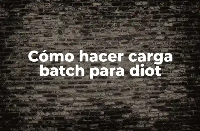 Cómo Hacer Carga Batch para Diot