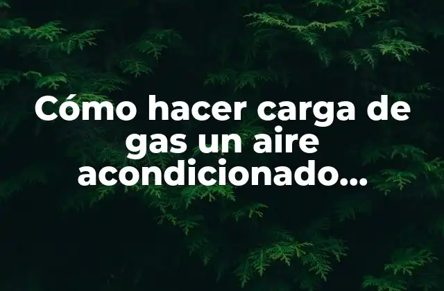 Cómo Hacer Carga de Gas un Aire Acondicionado Youtube
