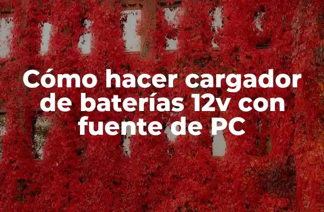Cómo Hacer Cargador de Baterías 12v con Fuente de Pc