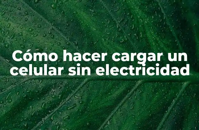 Cómo Hacer Cargar un Celular sin Electricidad