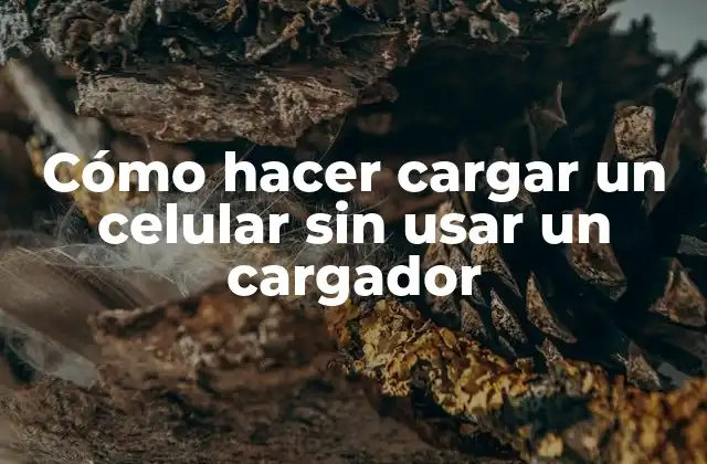 Cómo hacer cargar un celular sin usar un cargador