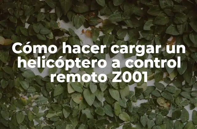 Cómo Hacer Cargar un Helicóptero a Control Remoto Z001